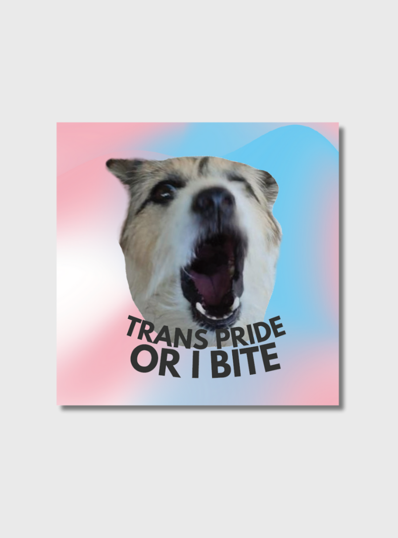 Sticker Trans Pride Hund