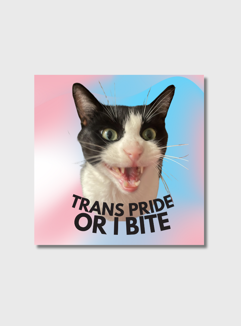 Sticker Trans Pride Katze