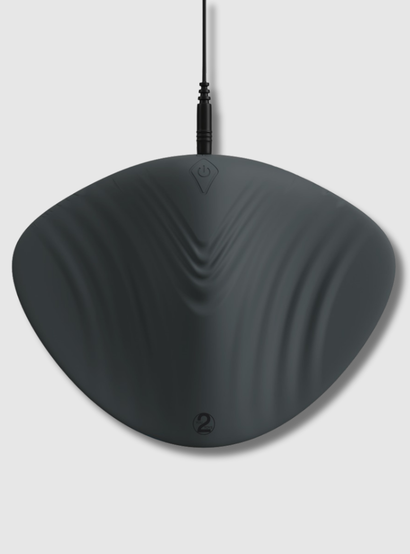 Coup!es Choice RC Lay On Multi Vibrator